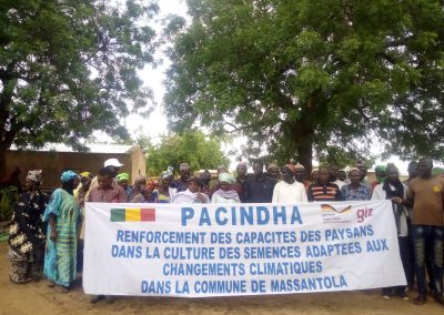 Pacindha - Changement Climatique